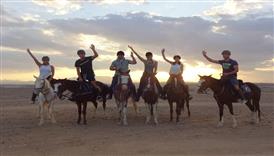 buggy safari