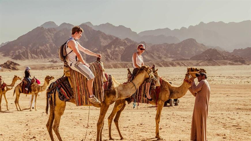 buggy safari
