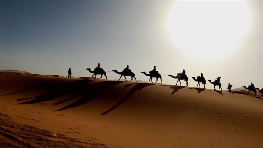 buggy safari